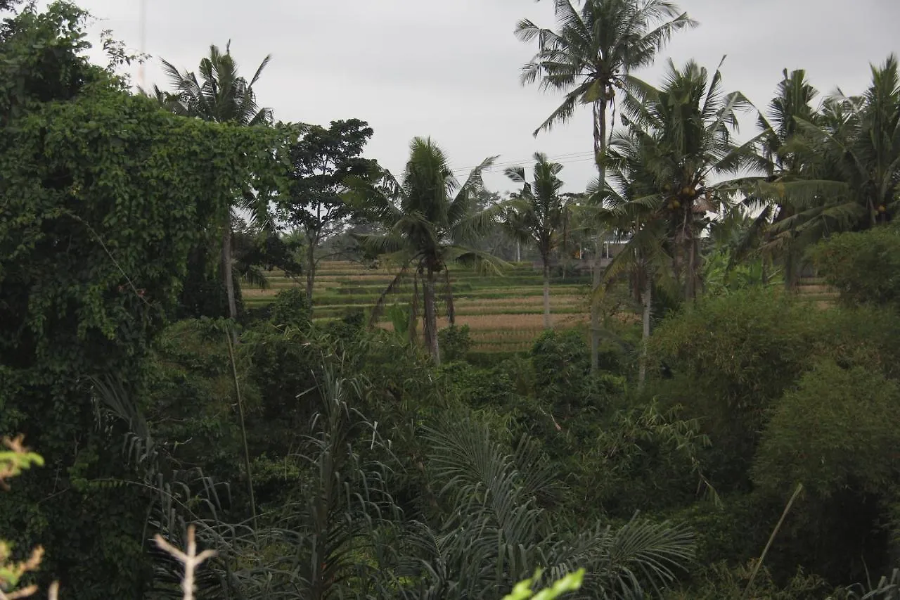 Ogek Home Stay Ubud  0*, Ubud (Bali) Indonesia