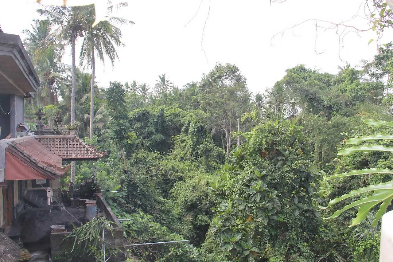 Ogek Home Stay Ubud  Indonesia