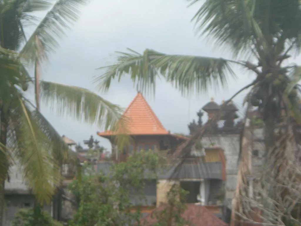 Ogek Home Stay Ubud  Indonesia